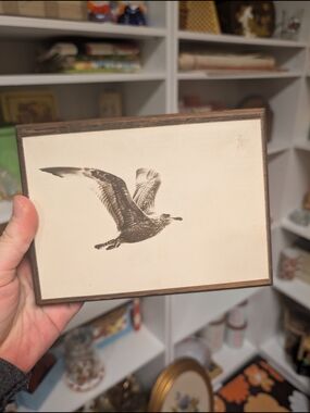 Classic Seagull Wall Art Plaque Vintage